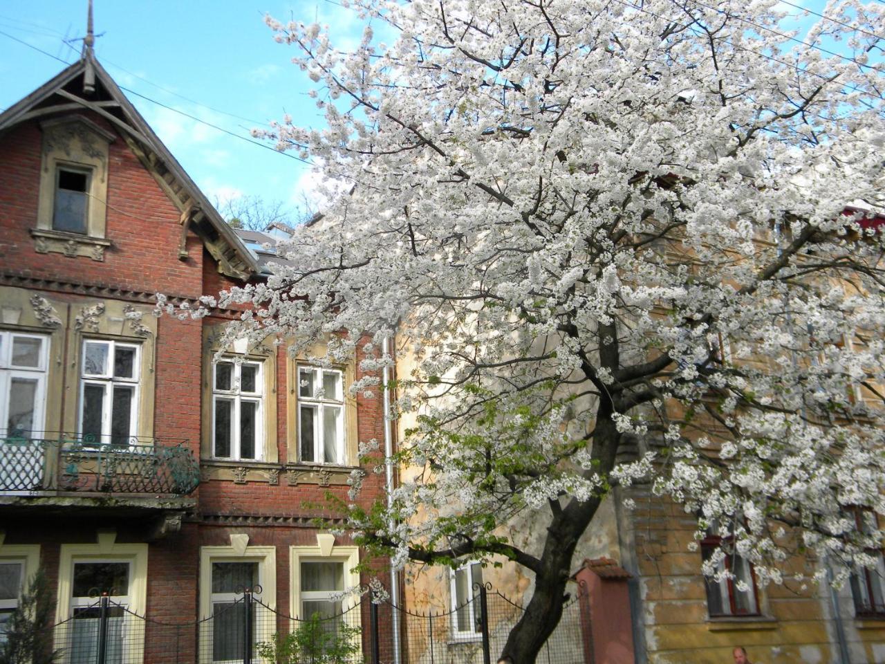At Anchevskih 3 Apartment Lviv