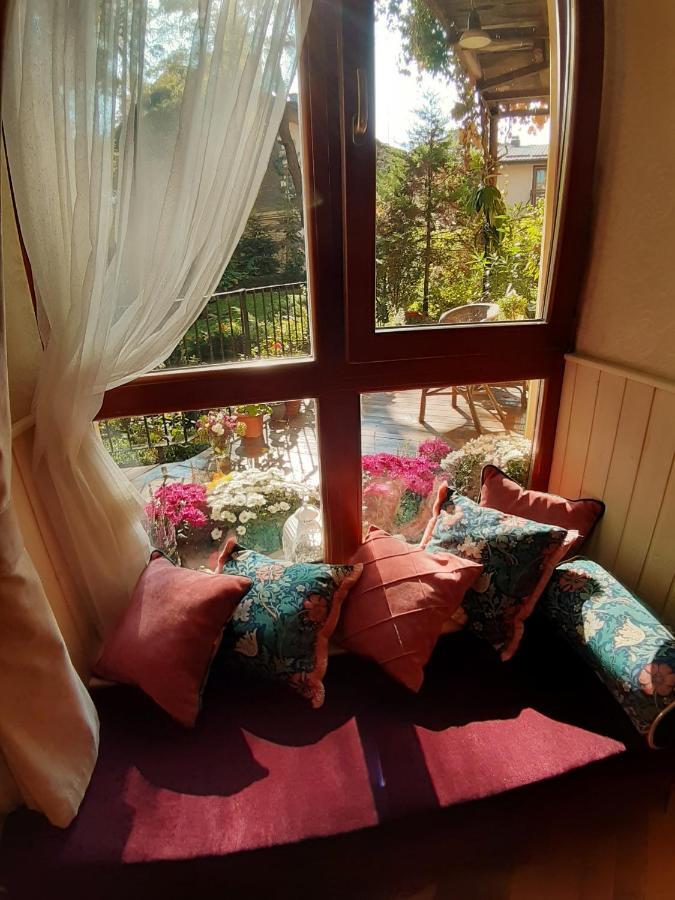At Anchevskih 3 * Lviv